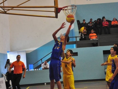 .:: foto_14989_38596.jpg ::.