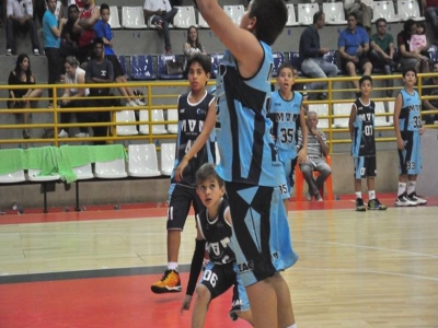 .:: foto_19383_45124.jpg ::.