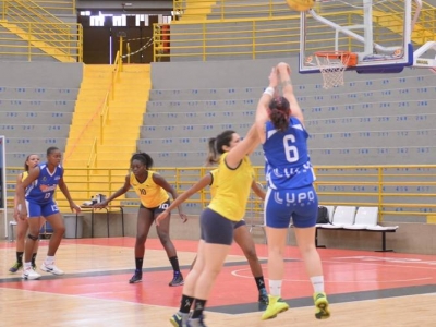 .:: foto_22371_48100.jpg ::.